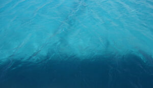 Contact Us - Boat trips in Mykonos